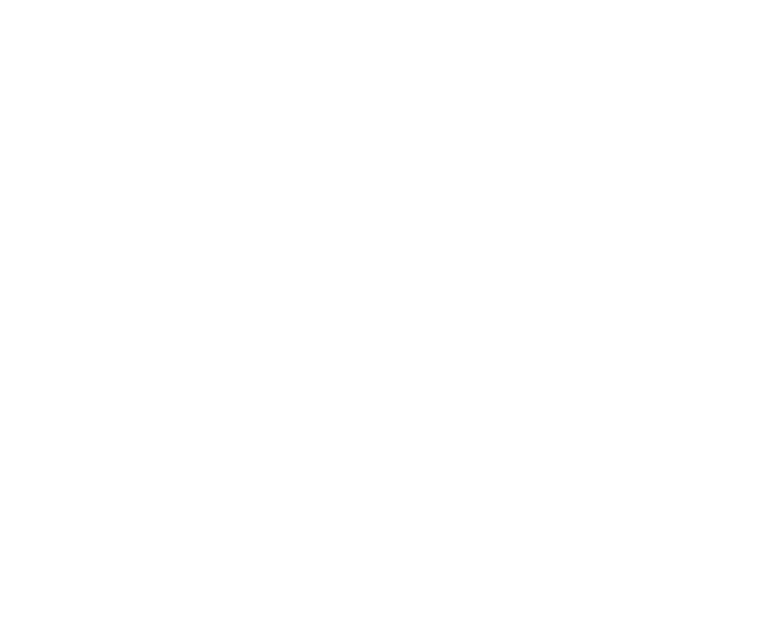 Twofold